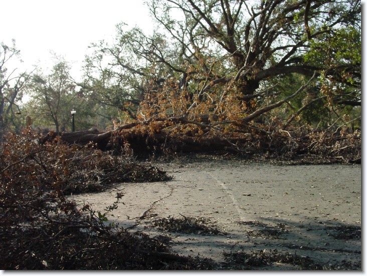 Next slide