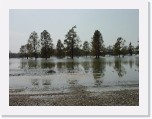DSC06623 * 2272 x 1704 * (971KB)